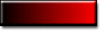 netsuccessnowbanner.gif
